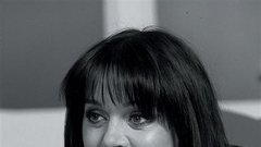 Miša Molk