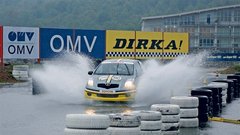 Dirka spolov