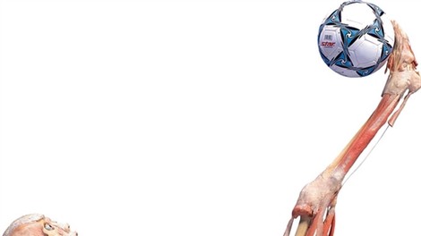 Anatomski cirkus