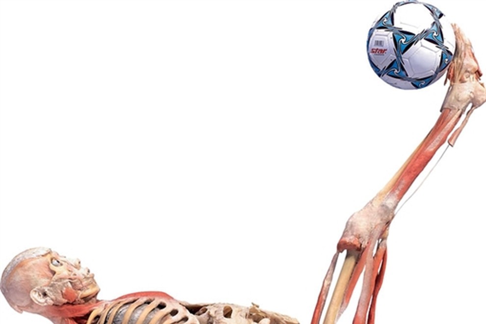 Anatomski cirkus