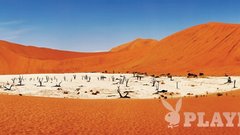 Namibijska legenda: Deadvlei.