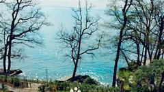 Vila Astra: Počitnice za plejboje