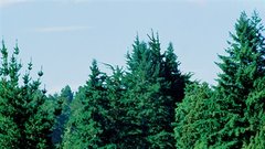 Najbolj luksuzne strehe nad glavo