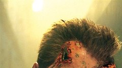 Terminator