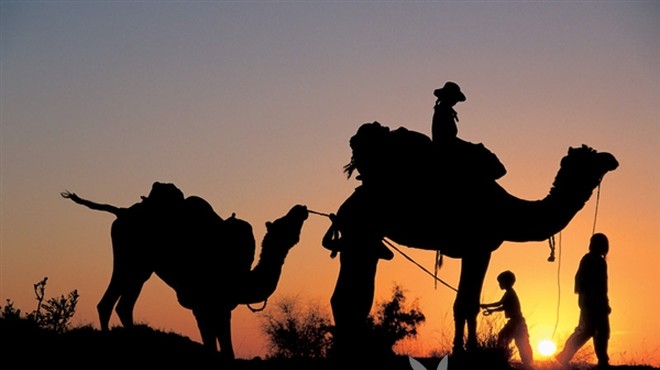 Radžastan, Indija: Tudi (nerazvajeni) otroci znajo uživati na potovanju s kamelami. (foto: Zvone Šeruga)