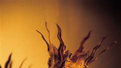 Ron Athey / foto Leonora Jakovljevi?