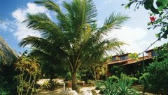 Jericoacoara, raj v Braziliji