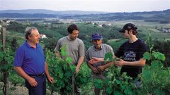 Konrad, Aleks, Ferdinand in Uroš Klinec: družinski posvet