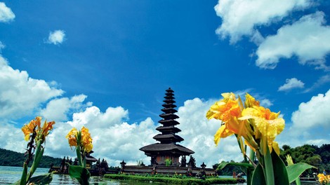 Foto: Indonezijski lepotec Bali