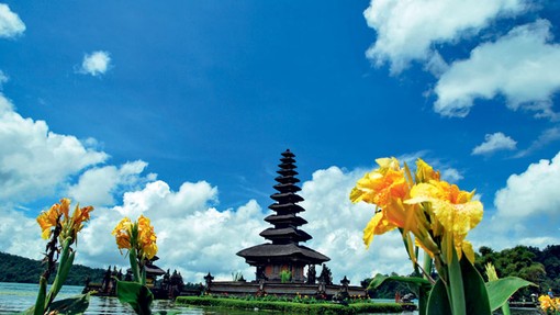 Foto: Indonezijski lepotec Bali
