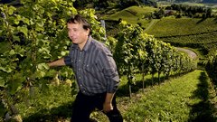 Direktor kleti Danilo Flakus se z veseljem sprehodi med vinogradi.