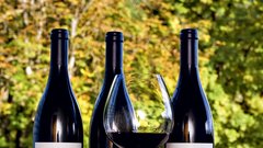 Modri pinot vajgen, benedict red in modra frankinja murski vrh