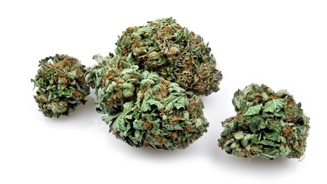 Legalizacija trave