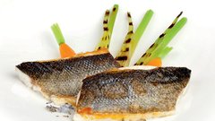 Ribogojnica Fonda: Tisti trenutek, ko se morje nakodra od stotine rib!