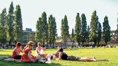 Najbolj priljubljen poletni kotiček: park