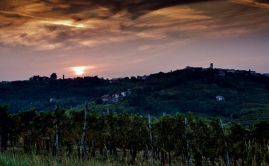 Goriška brda in vino Edi Simčič: Brezmejnost užitkov