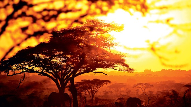 Čudovita, divja dežela na vzhodni strani črne celine: Tanzanija (foto: Dejan Burja)