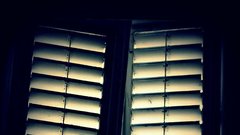 4. No sound but the wind