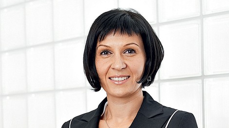 Plastika Skaza – Od Organka do Cuisine