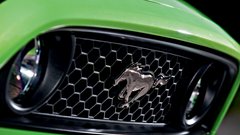 Ford Mustang 5.0: Njegov pogled