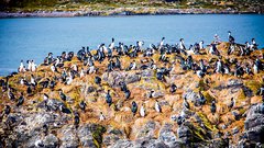 Megagalerija lepot Argentine: Krasni slapovi, slastni stejki in mogočni ledeniki