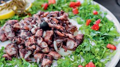 Palmižana: Čudoviti biser