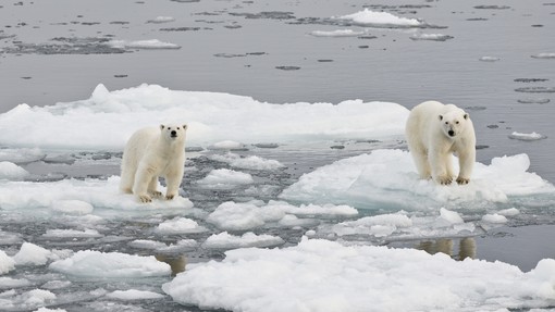 Temperature na Arktiki bi na božični večer lahko podrle rekorde! Se obeta 20 stopinj nad povprečjem?