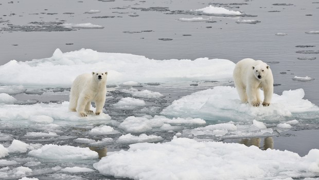 
                            Temperature na Arktiki bi na božični večer lahko podrle rekorde! Se obeta 20 stopinj nad povprečjem? (foto: profimedia)