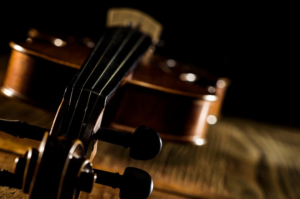Orkester Slovenske filharmonije nadaljuje stavko, zato novoletnega koncerta ne bo! (foto: profimedia)