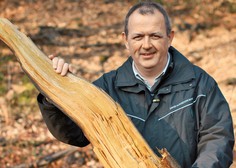 Mag. Andrej Breznikar: Odnos, ki ga ima družba do gozda, je odraz kulture te družbe