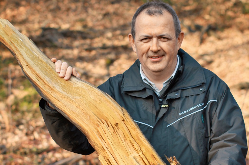 Mag. Andrej Breznikar: Odnos, ki ga ima družba do gozda, je odraz kulture te družbe (foto: Goran Antley)