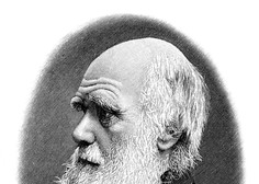 Darwinov dan letos tudi v Sloveniji
