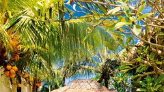 Fotodelavnica na idiličnem otoku Bali