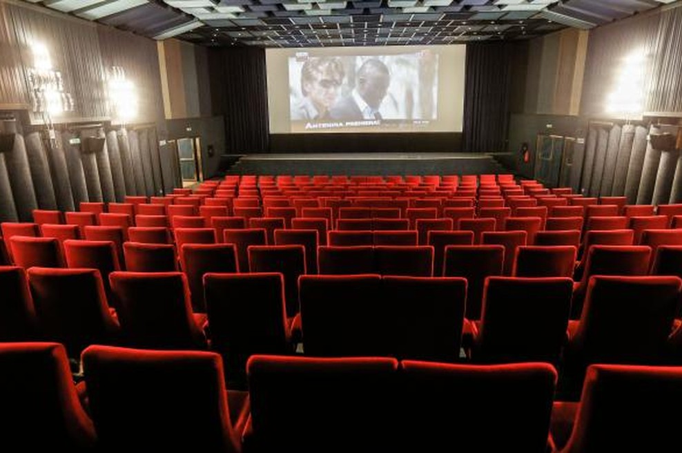 Na tujih filmskih festivalih slavila Nočna ptica in Selitev (foto: STA)