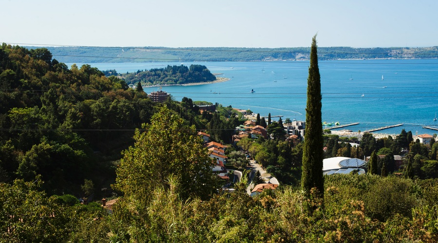 Portorož: V streljanju ranjen moški (foto: Promo)