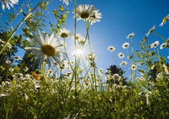 Kaj nas čaka po vročem vikendu: kopalke ali pelerina?