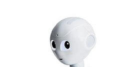 PEPPER SoftBank