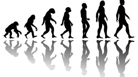 Turčija namerava odpraviti poučevanje evolucije v šolah