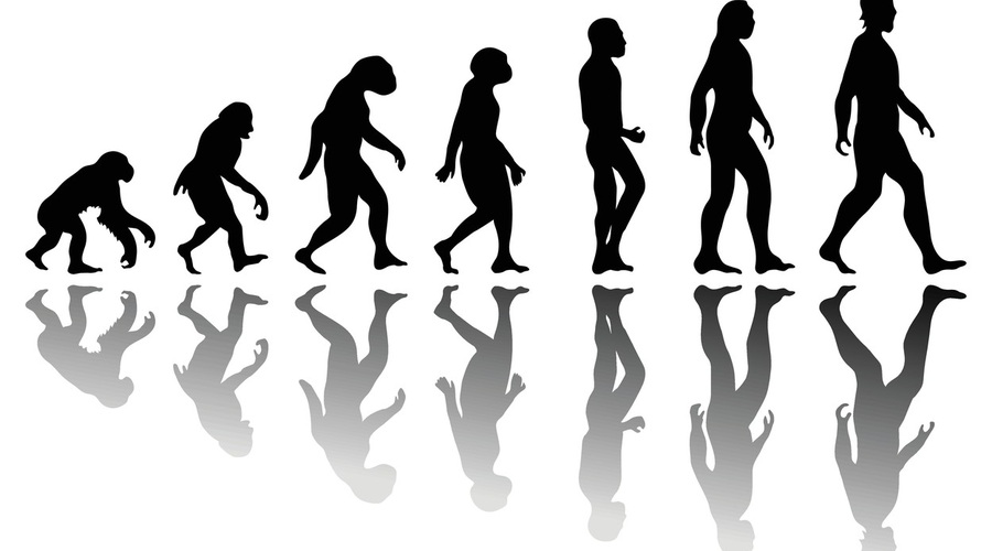 Turčija namerava odpraviti poučevanje evolucije v šolah (foto: profimedia)