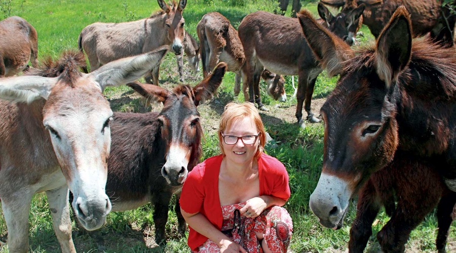 Valerija Vale Verhovnik: "Ne, osli niso trmasti, so pametni" (foto: Primož Predalič)