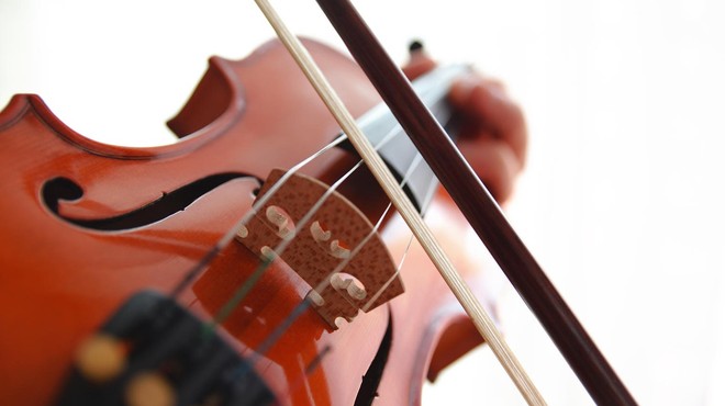 Bivšemu možu uničila violine, vredne več kot 800.000 evrov (foto: profimedia)