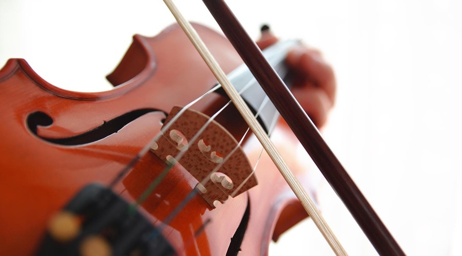 Bivšemu možu uničila violine, vredne več kot 800.000 evrov (foto: profimedia)