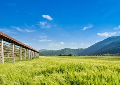 Magna: Inštitut za trajnostni razvoj opozarja na nedopustne pritiske, Gorazd Marinček pa je zaprosil za policijsko zaščito!