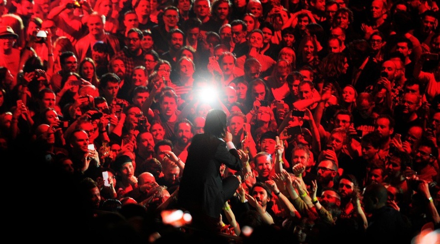 Nick Cave se seli v Stožice (foto: profimedia)