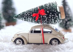 Nemčija: S prevelikim božičnim drevescem podiral prometne znake in ogrožal ljudi!