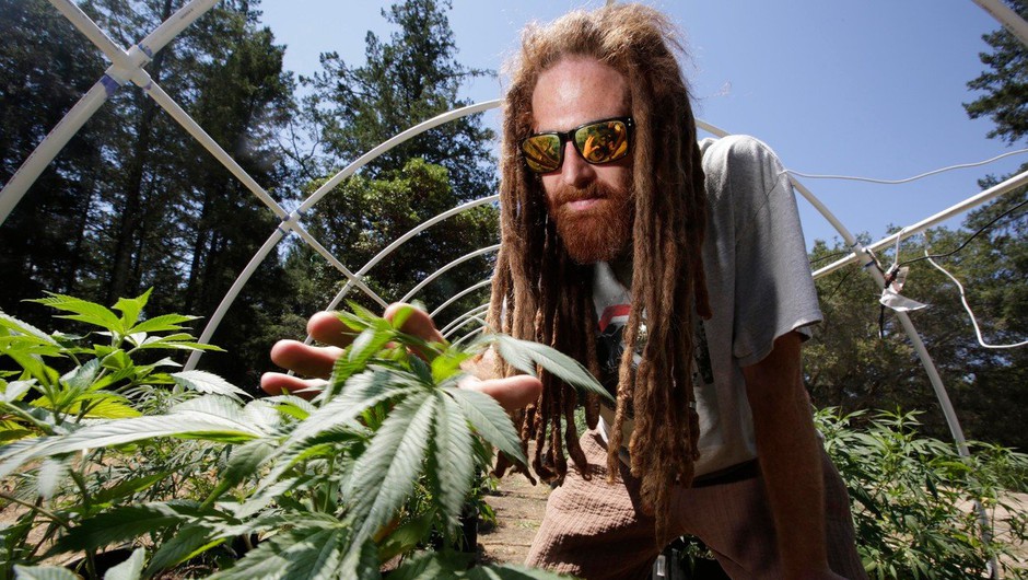 
                            V Kaliforniji legalno tudi uživanje marihuane za lastno uporabo (foto: profimedia)