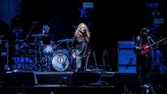 50 let obstoja Led Zeppelinov bo obeležila ilustrirana knjiga