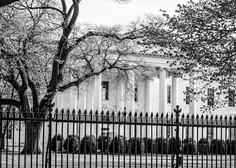 Nekaj zadnjih neuspelih prebojev varnostne ograje Bele hiše