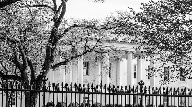 Nekaj zadnjih neuspelih prebojev varnostne ograje Bele hiše (foto: profimedia)