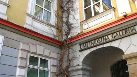 Del pregledne razstave ustvarjanja Janezov Janš tudi v Mariboru